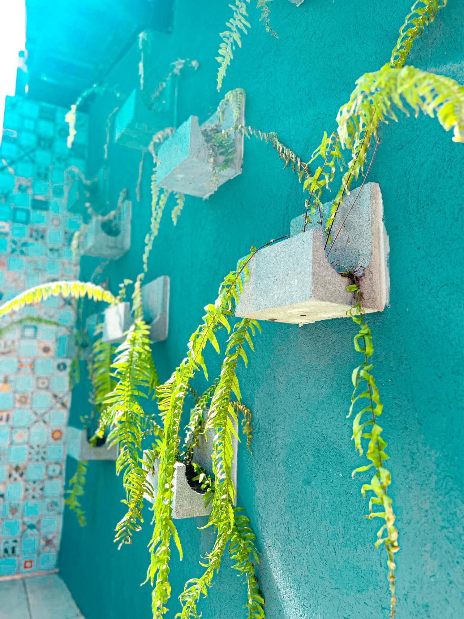 Chale Aconchego Dos Milagres Villa São Miguel dos Milagres Buitenkant foto